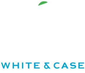 Logo Item