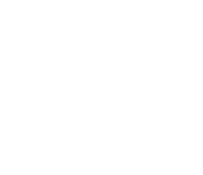 Logo Item